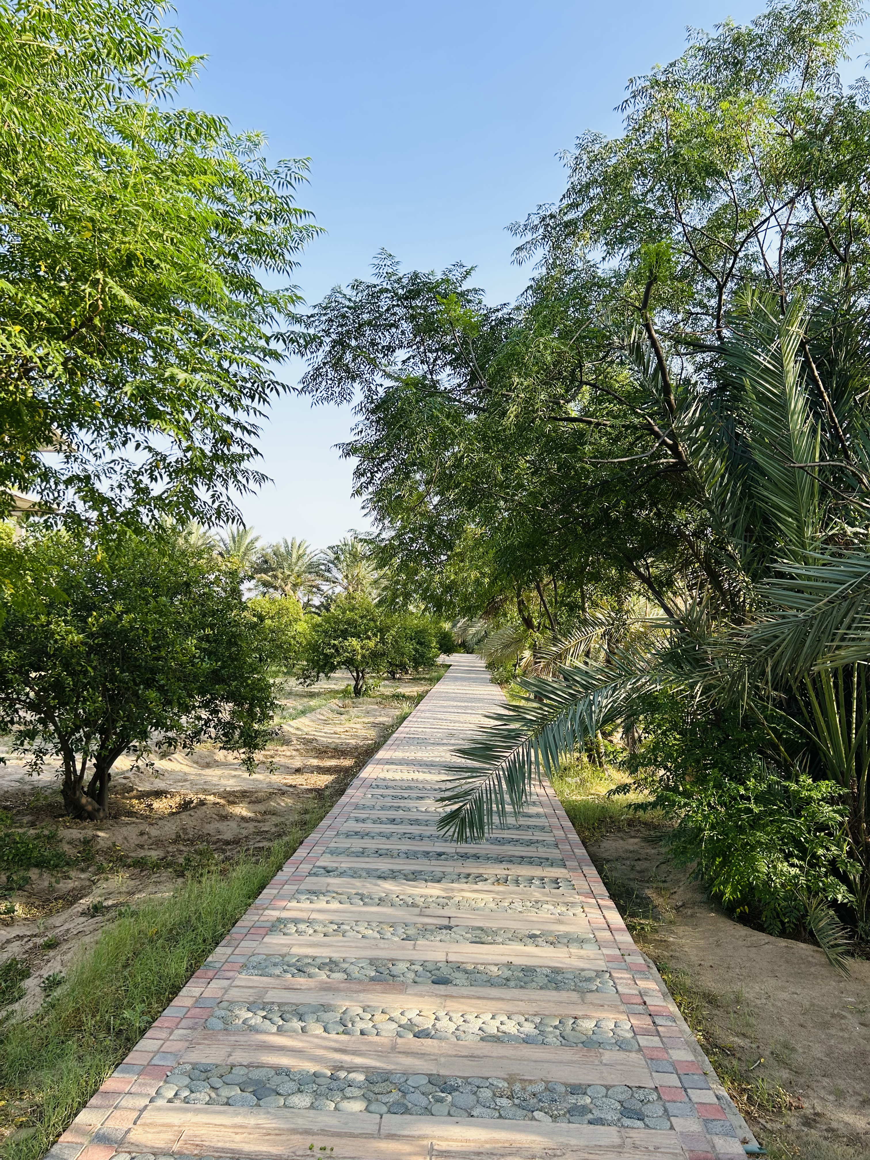 Feature Photo